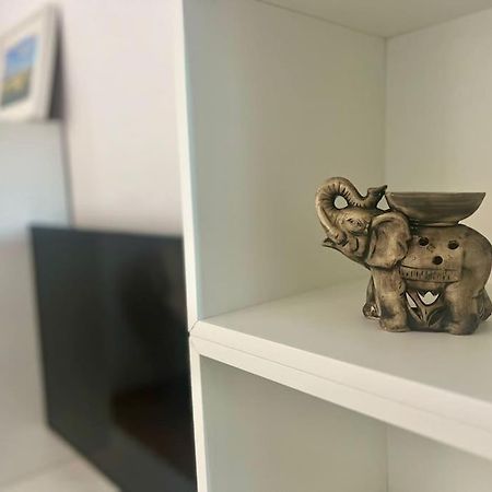 Cipariu Corner Διαμέρισμα Κλουζ-Ναπόκα Εξωτερικό φωτογραφία